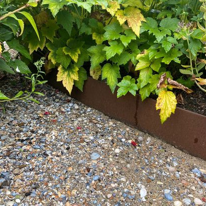 Cortenstaal Borderrand | 16 x 106 cm Flexibel | Per Stuk - Rijpex