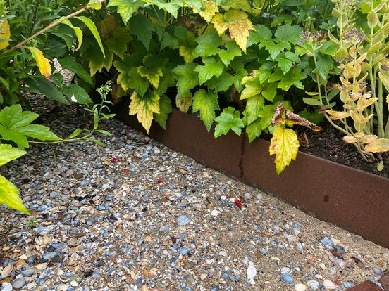 Cortenstaal Borderrand | 16 x 106 cm Flexibel | Per Stuk - Rijpex